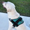 Dogline Dog Harness, Reflective No-Pull Adjustable Vest with Handle for
