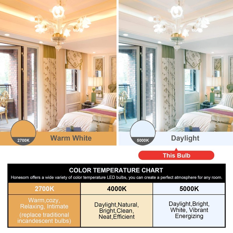 Honesorn Bathroom Light Bulbs E26 Base, 60 Watt Equivalent, 5000K