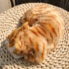 Basuo-9Q Lifelike Sleeping Tabby Cat Figurine - Realistic Curled Up