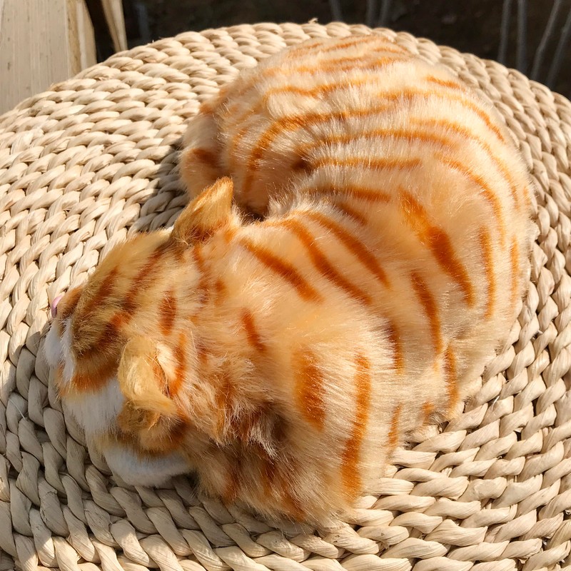 Basuo-9Q Lifelike Sleeping Tabby Cat Figurine - Realistic Curled Up