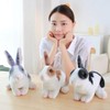 champracer Cuddly Toy Rabbit Sitting Small Plush Rabbit Black Fluffy