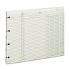 Wilson Jones Ledger Paper, Balance Ledger, 9-1/4" x 11-7/8", Green,