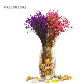 Seashells 13 Kinds of Shells 100 PCS Mixed Ocean Beach Colorful Seashells with Starfish Perfect for Home Decoration, Art Craft, Fish Tank and Vase Filler