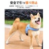 GIIPET-Dog Power Harness, Reflective Material, Comfortable, Throat Friendly, Nameplate, Dog