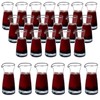 Inevoc Wine Decanter,Inevoc 24 Pack Single Serving,Mini Size Decanters,Small Individual
