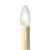 Celestial Lights Set of Four Battery Operated Remote Programmable Window