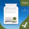 Protease Delayed Release (DR) 50mg | Digestive Support Enzymes |