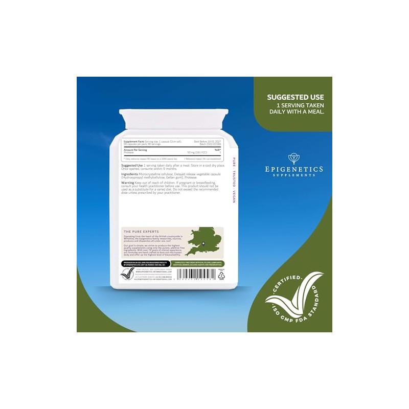 Protease Delayed Release (DR) 50mg | Digestive Support Enzymes |