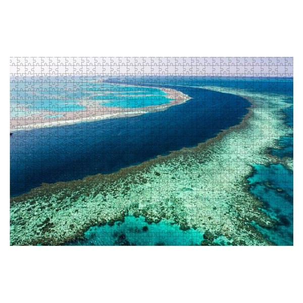 Puzzles for Adults 1000 Pieces Great Barrier Reef - Intellectual