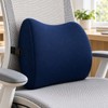 Lumbar Support Cushion for Office Chair & Car Seat –