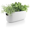 Eva Solo | Self-Watering Herb Organiser | Keeps Indoor House
