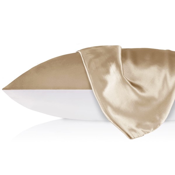 LILYSILK 19 Momme Silk Pillowcase Mulberry Silk Plain Cotton with