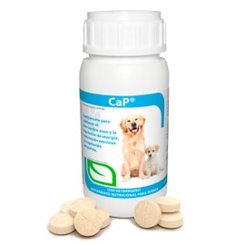 RUILAND Ca-P Suplemento con Vitamina D, Calcio y Fósforo para Perros | Apoya Energía y Salud Ósea | Tabletas Masticables para Cachorros, Adultos y Perros en Gestación o Lactación | Dosis Ideal
