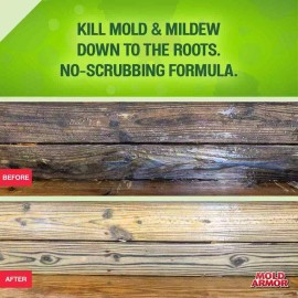 64 Oz. E-Z Outdoor Deck and Fence Wash Mold and Mildew Remover