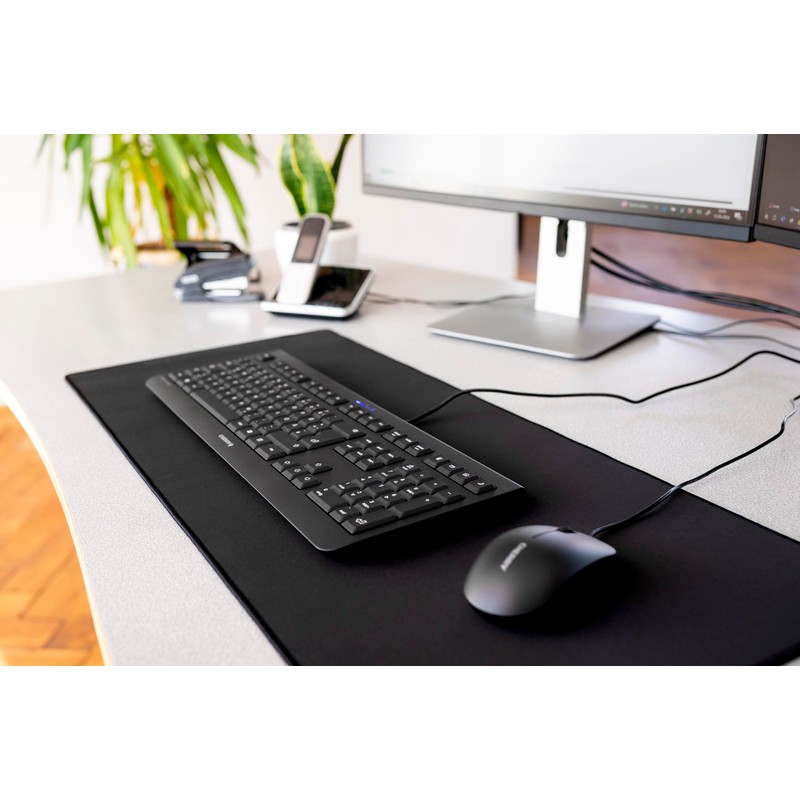 CHERRY DC 2000 - Keyboard and Mouse Combo - 4