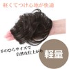 Fuji Pax Hajime no Hajime Hair Piece (Dark Brown)