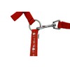 Start ILoveMyMini Foal Noseband Adjustable on Chin & Headpiece Foal