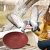 Gralara Bird Breeding Nest, Pigeon Hatching Bowl, Pigeon Quail Dove