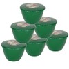 Pack of 6 Plastic Pudding Bowls with Lids - Emerald
