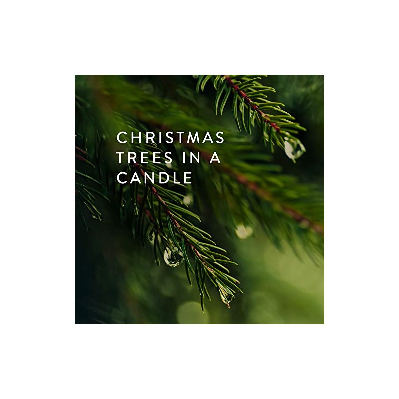 Thymes Tin Candle - 2.5 Oz - Frasier Fir
