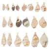 HOBBIESAY Pack of 20 Natural Shell Pendants, 10 Styles, Spiral