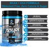 eFlow Nutrition eFlow Nutrition Endure BCAA Plus EAA - Essential