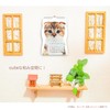 Active Corporation 2025 Calendar Wall Hanging Cat 25ACL-67 Begins January