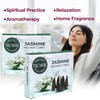 TRUMIRI Jasmine Incense Cones - Total 20 Cone Incense -
