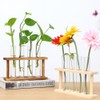 OFFCUP Plastic Test Tubes, 20pcs Test Tubes with Cork Stoppers,