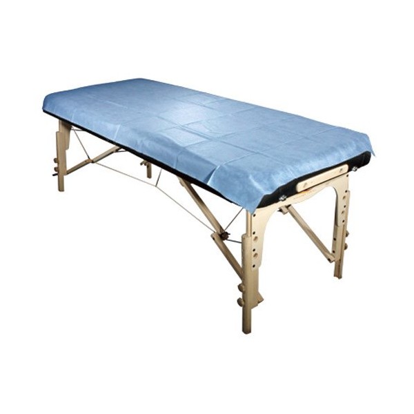Royal Massage Set of 10 Universal Disposable Waterproof Flat Table Sheets - Blue