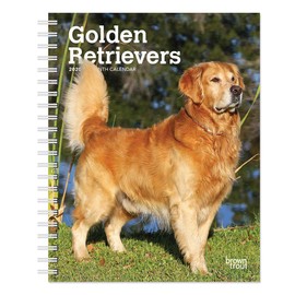 Golden Retrievers 2020 Planner