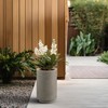 Kante 15.7 Inch Tall Concrete Planter, Round Pedestal Design Garden