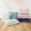 Pallene Spring Soft Faux Fur Throw Pillow Covers 12x20 Set