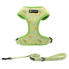 Dog Harness and Leash Set, Adjustable Dog Harness, Dog Leash, No Pull No Choke Puppy Harnesses for Walking Training for Small, Medium, Large Pet