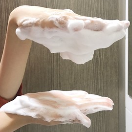 Anna Holtz Foam Cleansing 500ml Hypoallergenic mild large-capacity cleansing foam, 500ml / 안나홀츠 폼클렌징 500ml 저자극 순한 대용량 클렌징폼, 500ml