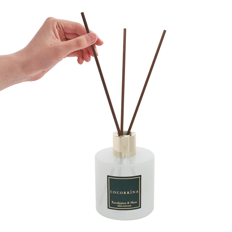 Cocorrína Reed Diffuser Sets- Eucalyptus & Moss Scented Diffuser with