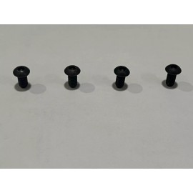 Harman Glass Clips Screws (4 pack) OEM