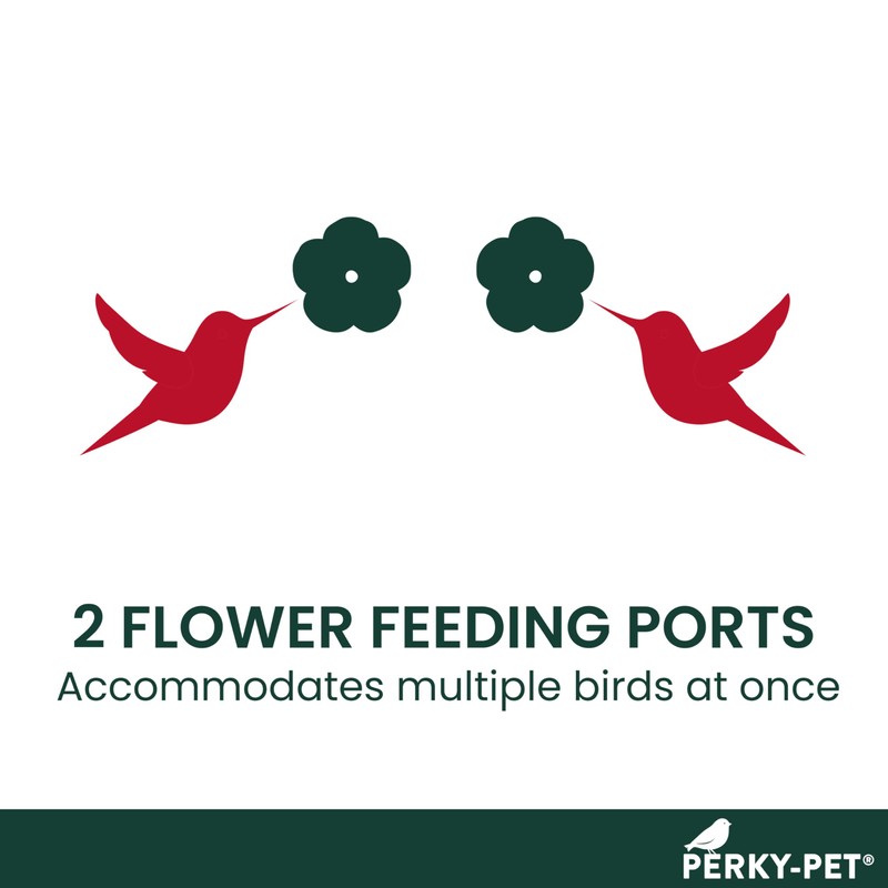 Perky-Pet Window-Mounted Glass Hummingbird Feeder - 14 fl oz Nectar