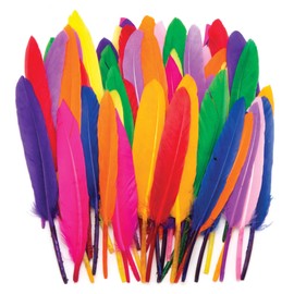 Baker Ross AR245 Mini Quill Feathers Value Pack — Ideal for Kids' Arts and Crafts, Sensory Stimulation, and More (Pack of 80), Assorted, 13cm