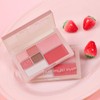 Etude Studio (New Color) Play Multi Eyes / Eyeshadow /