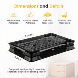 Qualirey 12 Scorpion Glue Tray Traps, Adhesive Scorpion Killer Indoor, Pet and Children Safe, Scorpion Repellent, Insect Traps Indoor, Sticky Bug Catcher for Basement, Bathrooms and Garage