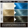 JEROME RUSSELL Punky Colour Hair Color Crme Lagoon Blue 3.5