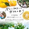 YUZU Daily Aroma, Juicy Face Mask, From Kochi Prefecture, 1