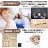 MiYAVi 2044 Calendar Summer Vacation Craft Kit Beginner DIY Model