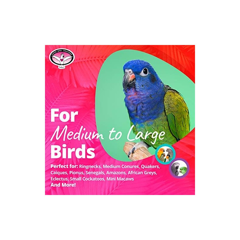 Super Bird Creations SB1058 Sneakers Bird Foot Toy - Engaging,