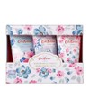 Cath Kidston Hand Cream Wild Rose & Queens 3-Piece Set B, 1 Piece / 캐스키드슨 핸드크림 와일드로즈 앤 퀸스 3종 세트b, 1개