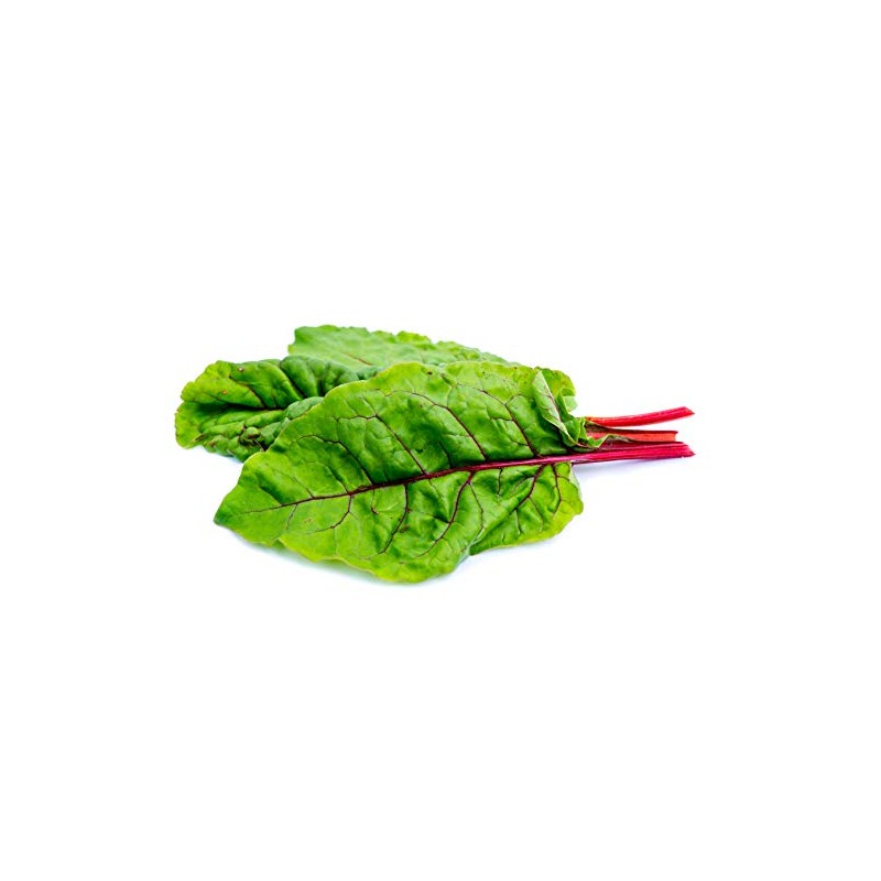 Rhubarb - Swiss Chard Seeds - Non-GMO - 2 Grams,