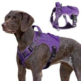Tactical Dog Harness for Large Dogs, Heavy Duty No Pull Military Service Vest with Control Handle & 2 Patches, Adjustable Reflective Soft Padded Pet Harness for Training Walking Hiking (Purple, M)