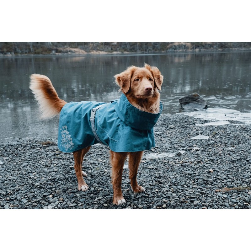Hurtta Monsoon Coat, Dog Raincoat, Bilberry, 14 in