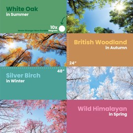 ShadeOn Calming Fluorescent Light Covers (Set of 4, Four Seasons) Light Filters for Drop Ceiling Lights Magnetic, Fits 2x4 Light Fixtures Panels in Classroom & Office - Summer, Autumn, Winter & Spring